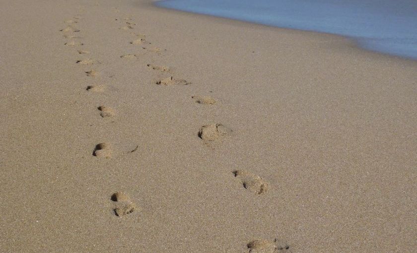 Zwei Fußspuren im Sand an einem Strand. Copyright: echtlebenswert / Fotocredits: Familie Kugnat-Steiner